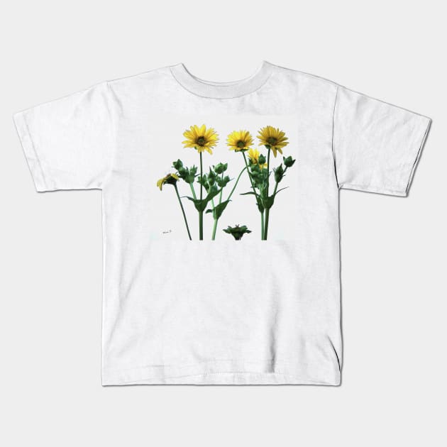 Wild Sunflowers Kids T-Shirt by ninasilver